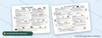 Toddler curriculum sample pages: gardening together, camping adventures