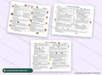 52-Week Infant Curriculum sample pages: bears, dental health, exploring bugs
