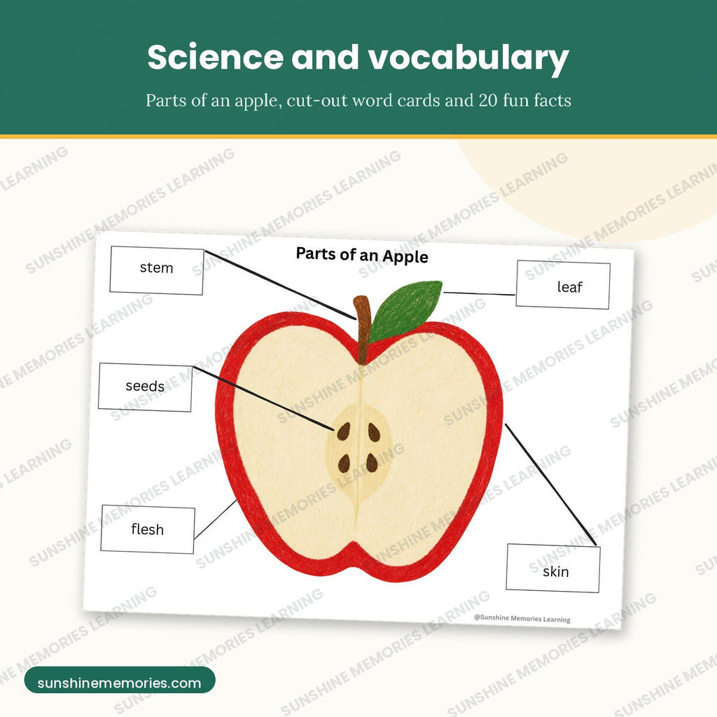 Parts of an apple labeling page with stem, leaf, skin, flesh and seeds