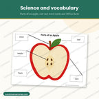 Parts of an apple labeling page with stem, leaf, skin, flesh and seeds