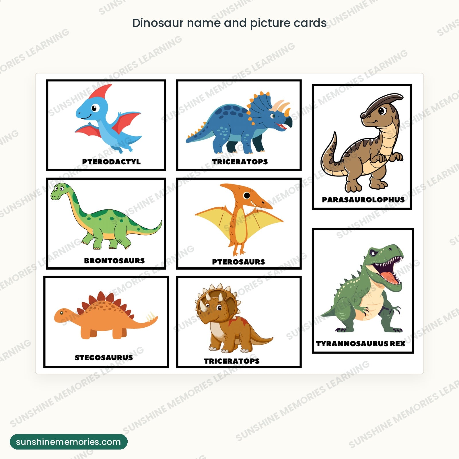 Dinosaur name and picture cards, including triceratops, stegosaurus and tyrannosaurus rex