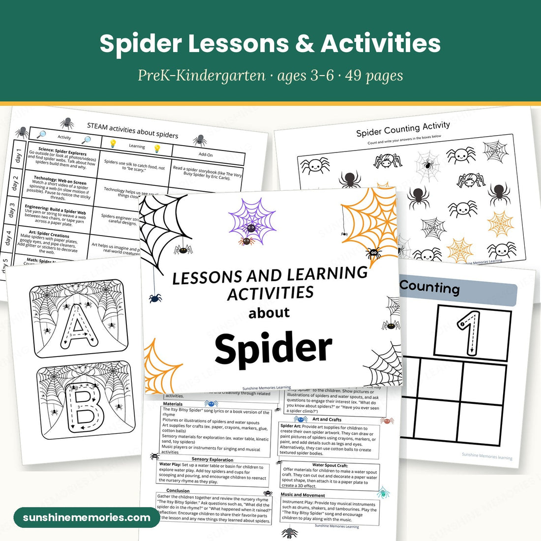 Spider Lessons & Activities