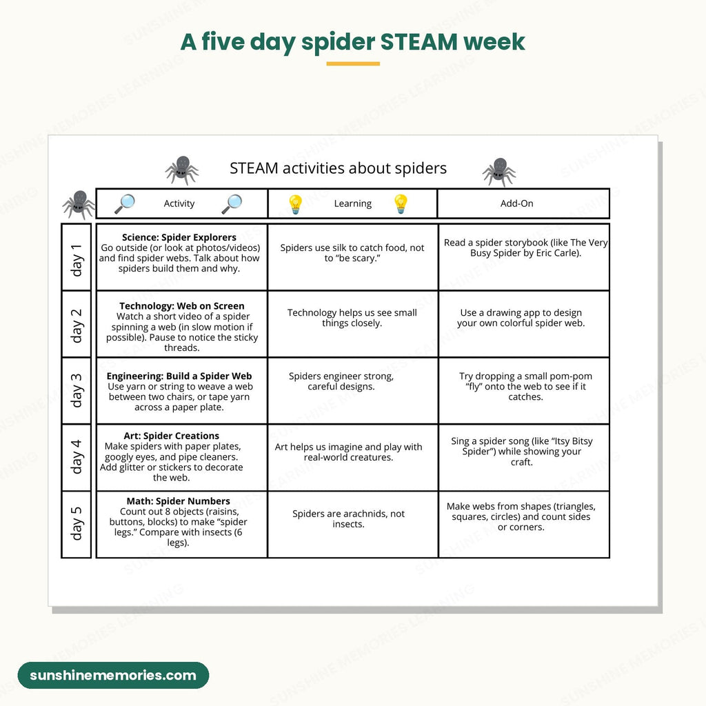 Five day spider STEAM week with science, technology, engineering, art and math activities