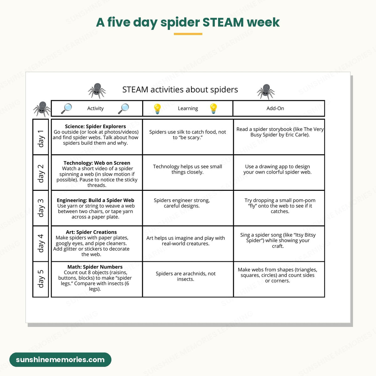 Five day spider STEAM week with science, technology, engineering, art and math activities