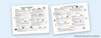 Toddler curriculum hands-on activity sample pages